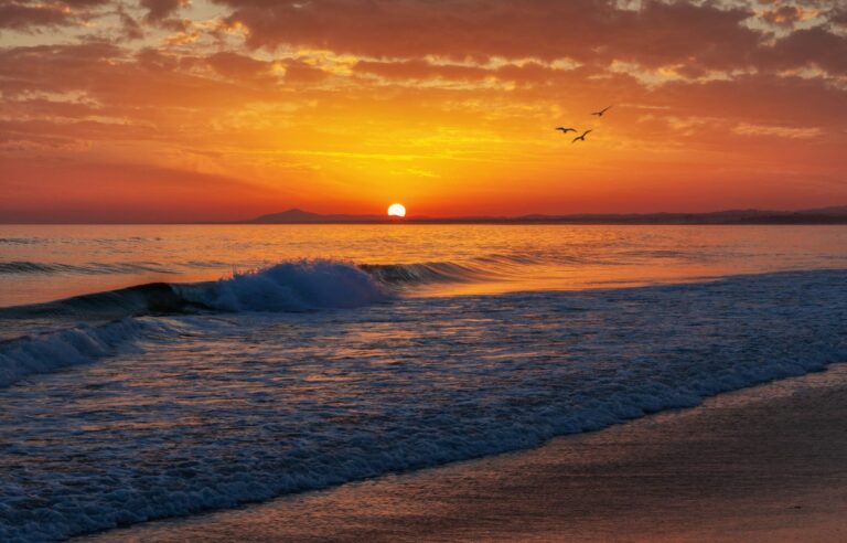 Nature paysage